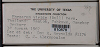 Image Associated With the Occurence